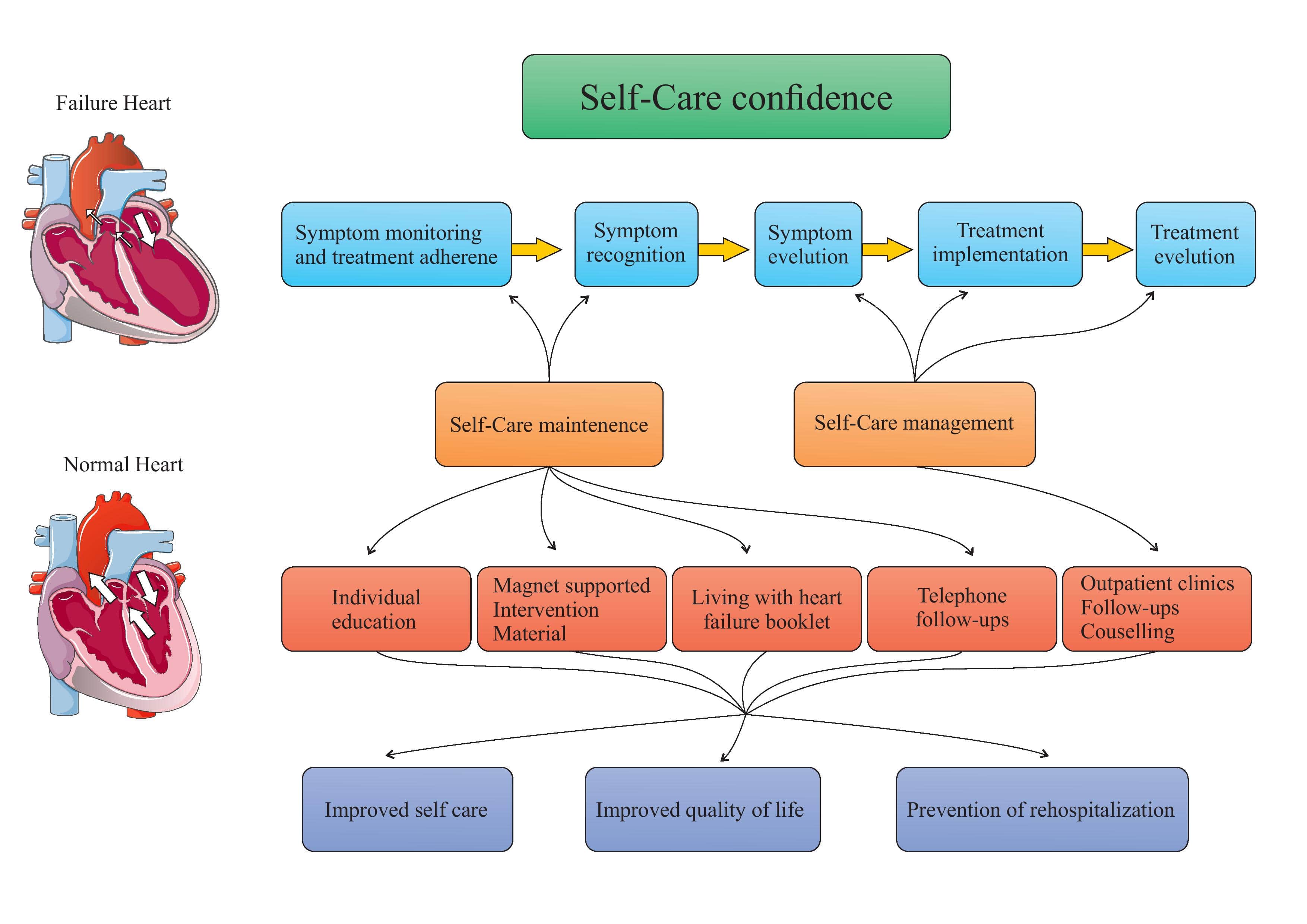 Self-care behaviors and related factors in chronic heart failure patients 